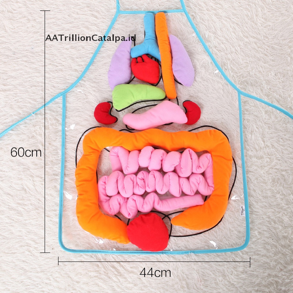 (AATrillionCatalpa) Apron / Celemek Motif Organ Tubuh Manusia Untuk Edukasi Anak
