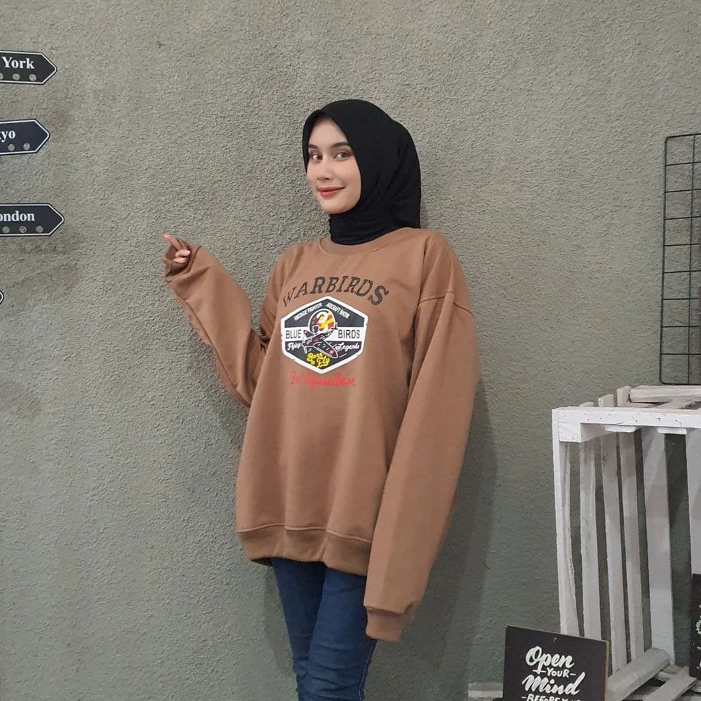 Nara Grosir - Warbirds XXL Sweater l Sweater Unisex