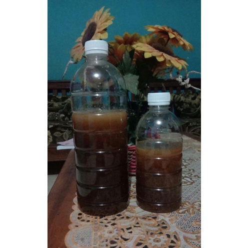 

Madu Multiflora Ternak