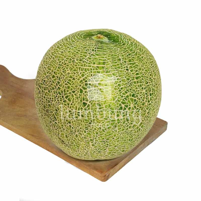 

Melon Sky Rocket (1 kg)