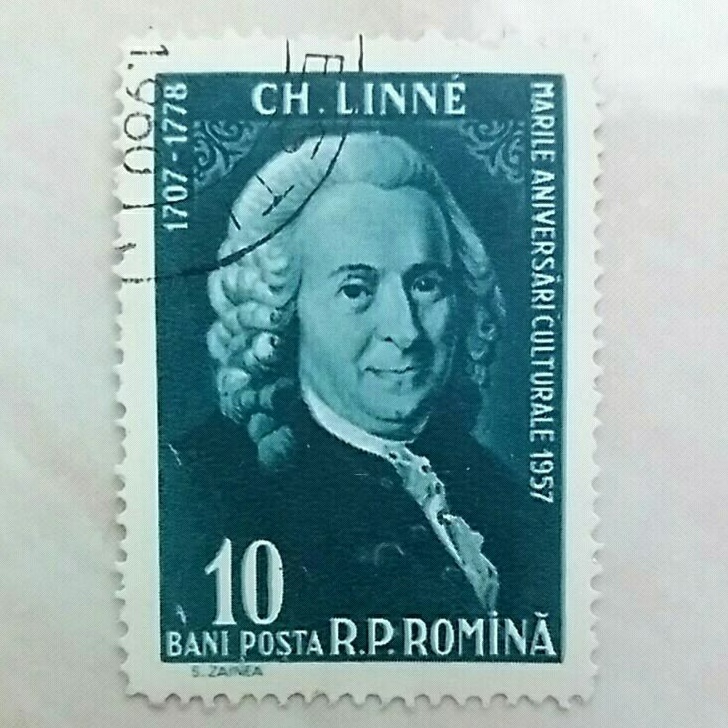 

(AE) Perangko Rumania 1958 Great Personalities of the World - Carl von Linné 10 bani CTO