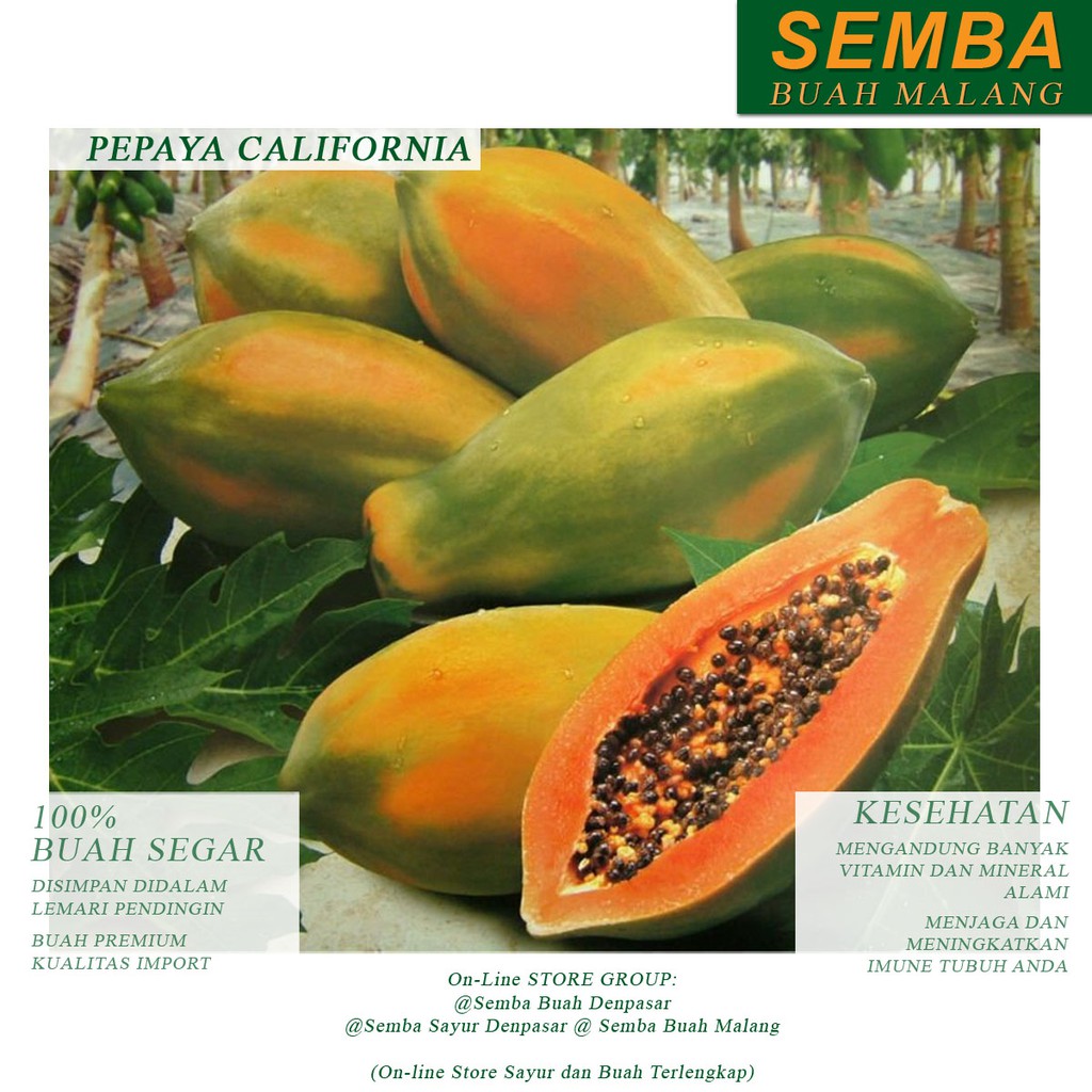 

PEPAYA CALIFORNIA buah fruit sayuran sembako food makanan pangan fresh segar murah DENPASAR BALI
