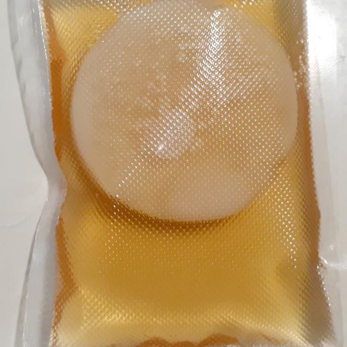 

Bibit Scoby Jamur Kambucha