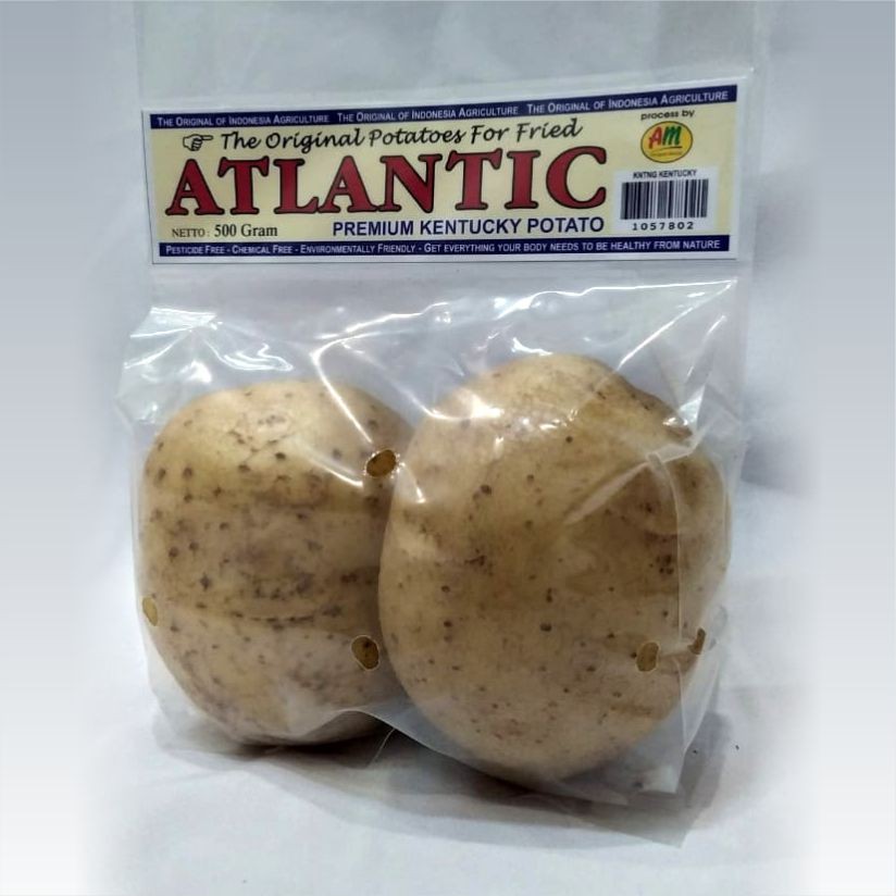 

Kentang Kentucky Super 500 gr - ATLANTIC Kentucky Potatoes