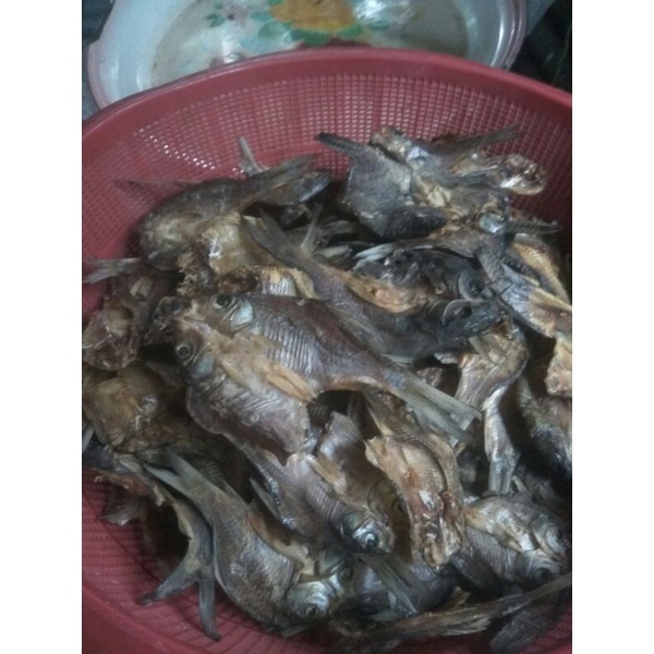 

ikan tawar kering campuran