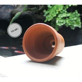  Pot  Semai Terracotta Nature 3cm Kaktus  Tanah  Liat  Bakar 