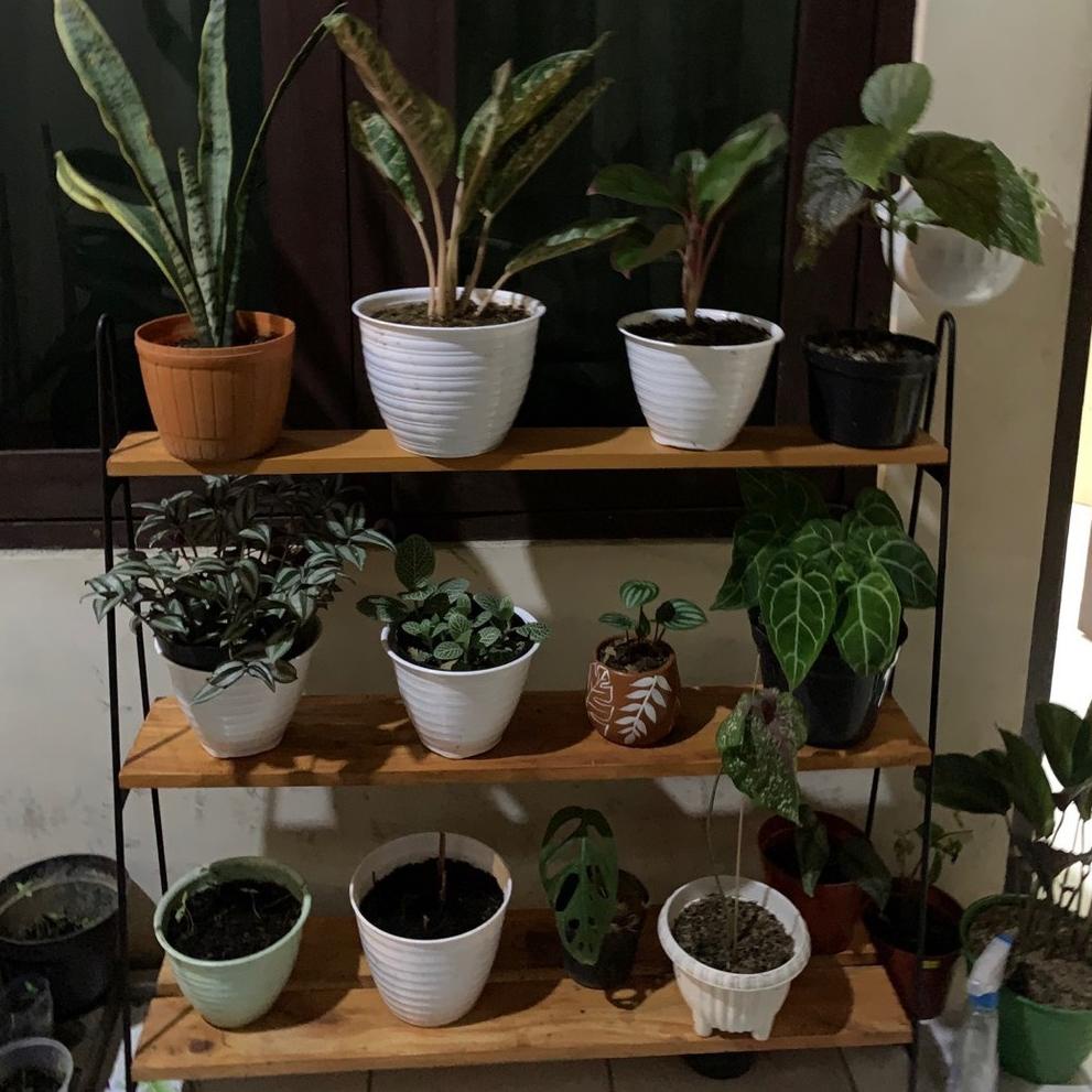 [KODE PRODUK 0323] GUNINCO RAK SERBAGUNA / RAK BUNGA SUSUN BESI Kayu Minimalis Hiasan Taman Standing