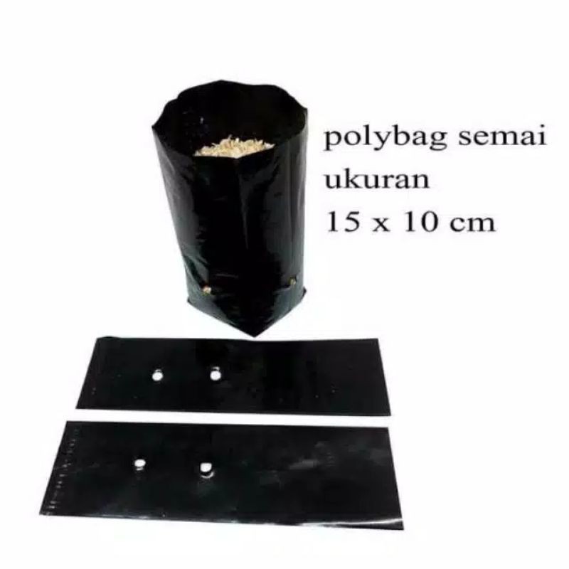 polybag semai 15x10