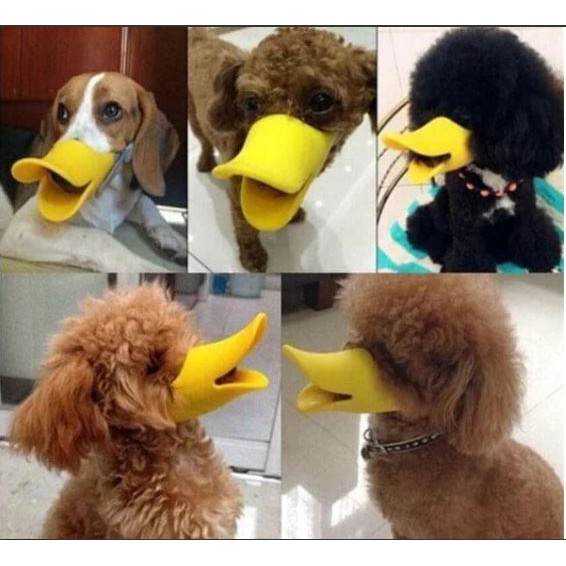 Duck Muzzle/ Selongsong Mulut Anjing Motif Bebek Anti berisik