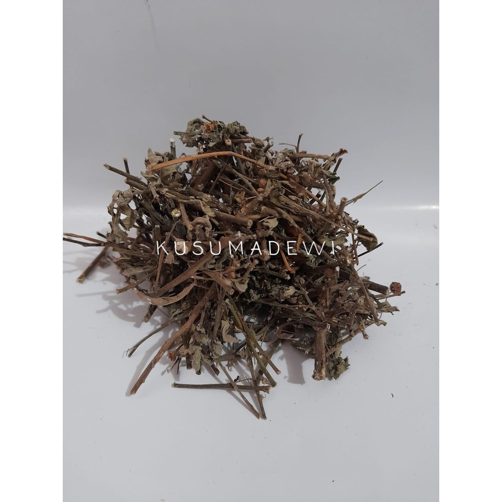 

Daun Sidogori Kering / Sidarhombi Folia 500 gram