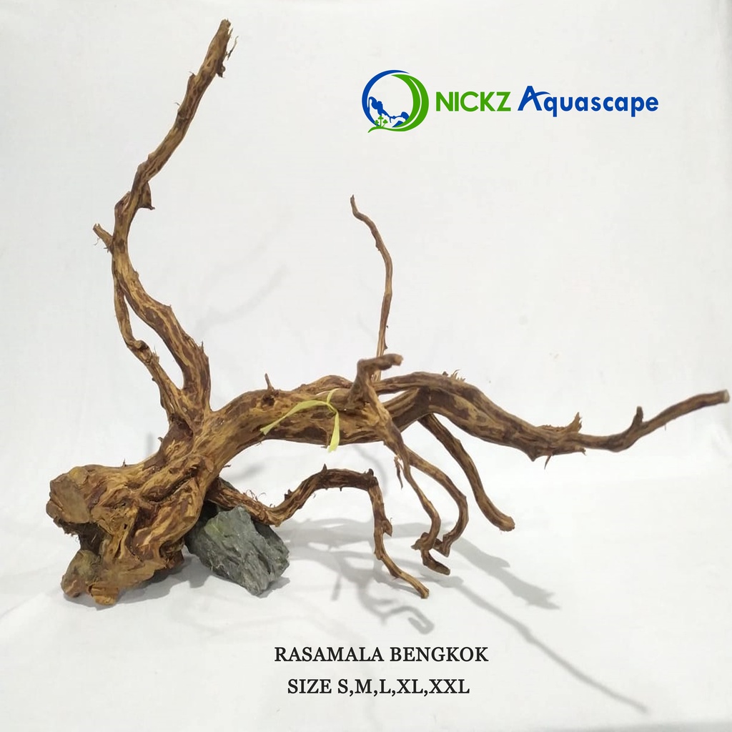 KAYU AQUASCAPE / KAYU RASAMALA SIZE S / MOTIF BENGKOK / BERKUALITAS / TERMURAH