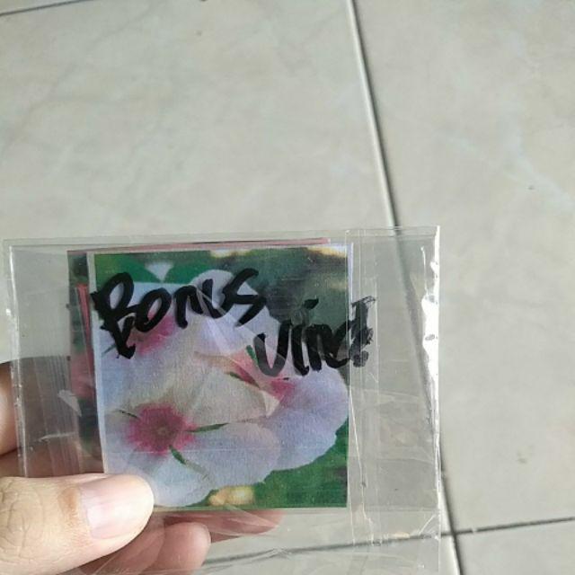 Paket 6 Jenis Calathea