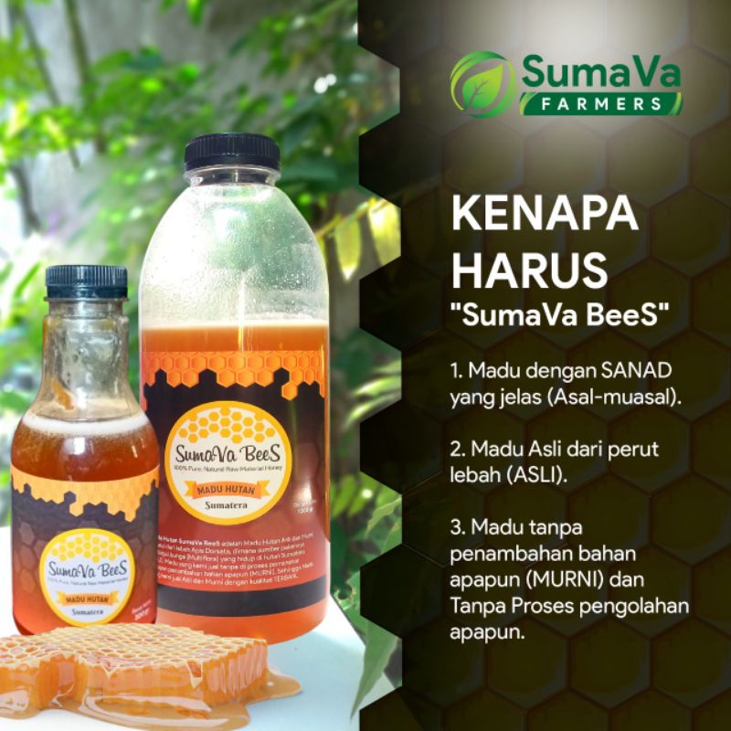 

Madu Hutan Madu Asli Madu Murni Madu Liar "SumaVa BeeS