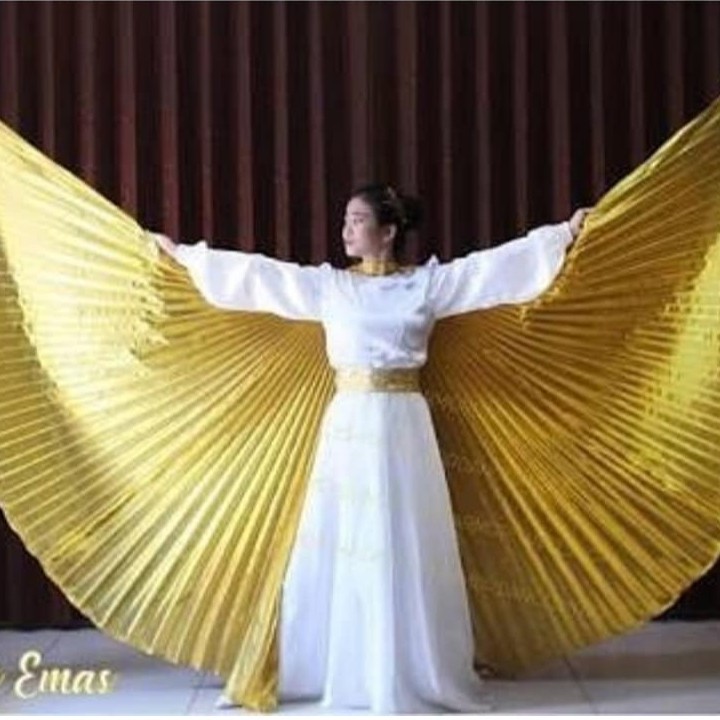 Kostum Sayap Malaikat Dewasa Besar Emas Gold Angel Cherub Wings Tamborin Gereja Peri Kelelawar