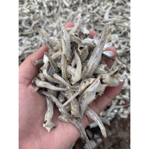 

Ikan Asin Teri Jengki Fresh, Tanpa Pengawet, Grade A, Murah