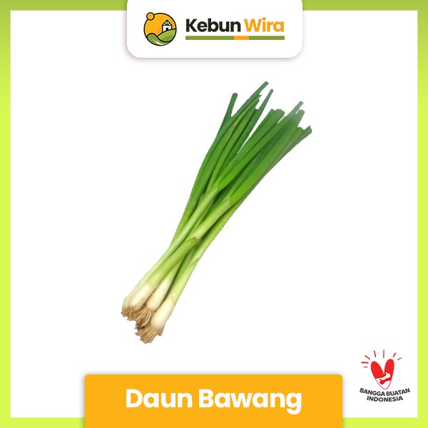 

Daun Bawang | Leek 100gr