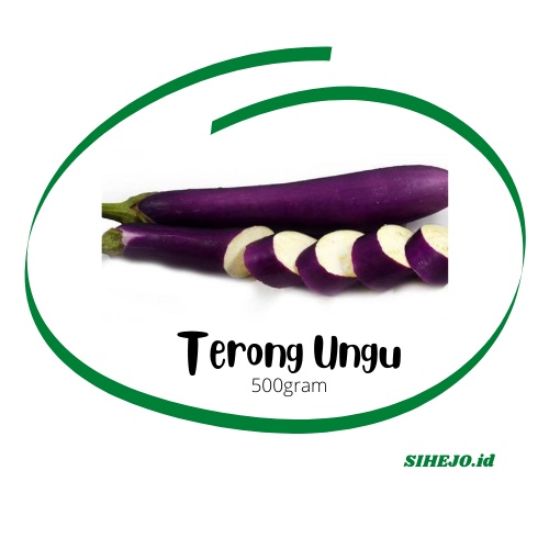

Sayur Terong Ungu 500g
