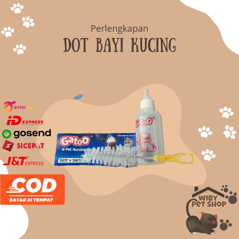 Dot baby kitten bayi kucing