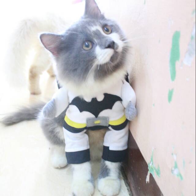 Kostum White batman untuk kucing dan anjing size S M L XL (baju kucing murah meriah)