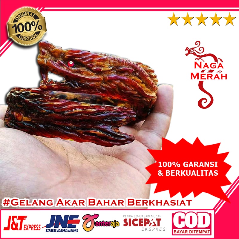 Gelang Akar Bahar Naga samping- Aksesoris Gelang Bahar Merah Ukir naga