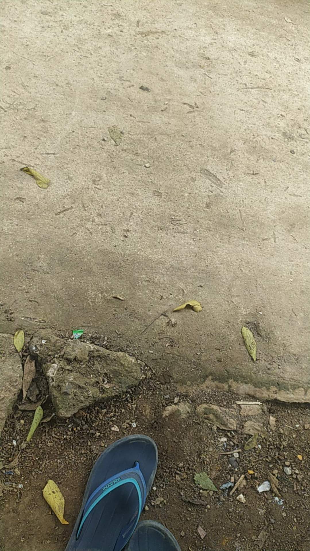 Bull Bosch Set Besi Kayu Mata Jigsaw Besi Wood Jig Saw Blade Gergaji