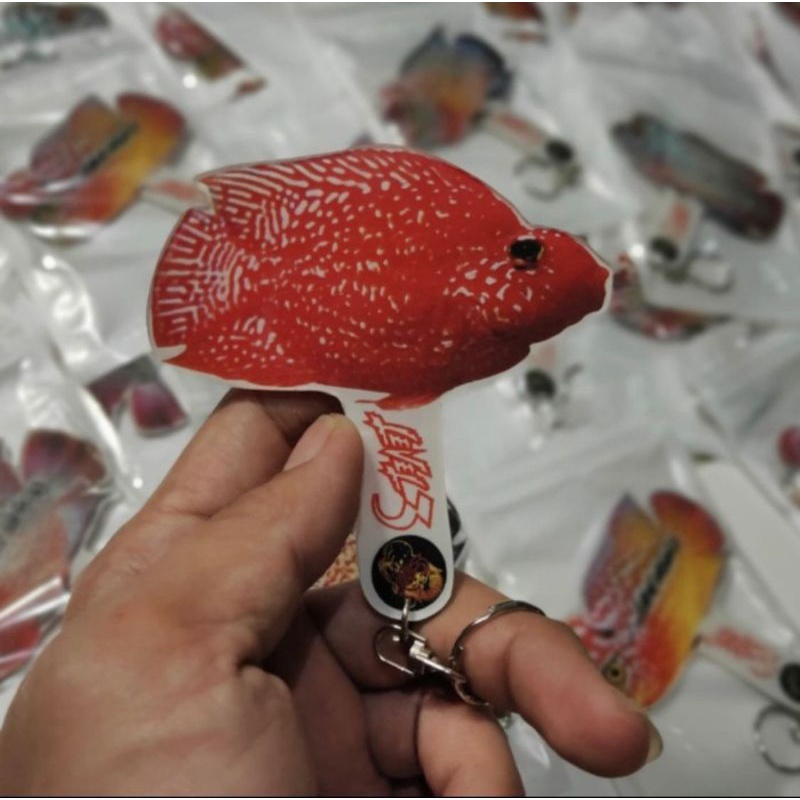 Wayang Ikan Acrylic Untulan Louhan Parrot