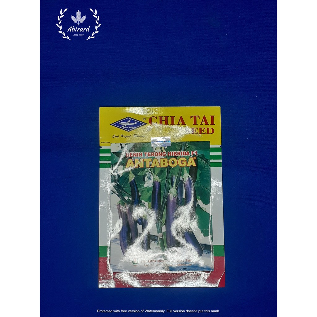 Benih Bibit Terong Terung Hibrida Antaboga F1 10Gr Original Pack Kapal Terbang