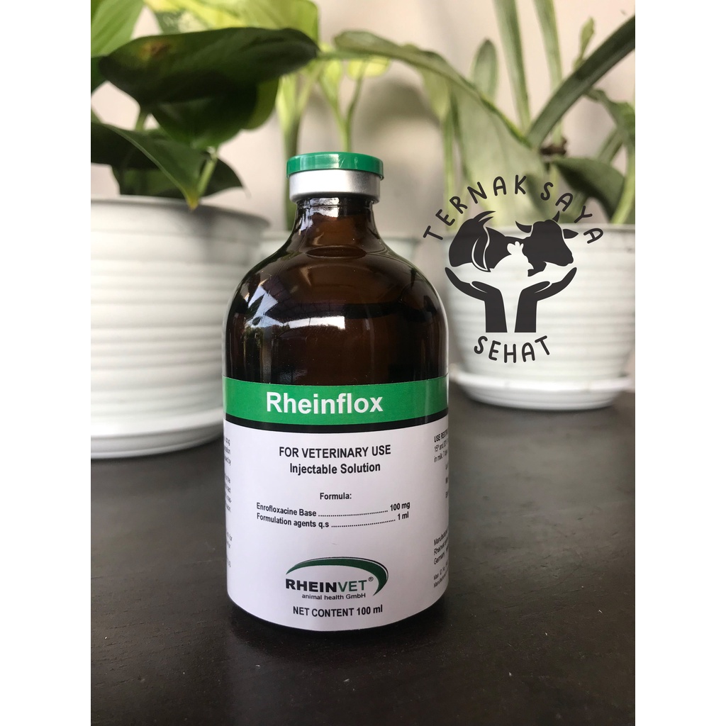 Obat Hewan RHEINFLOX (Enrofloxacin 10%)