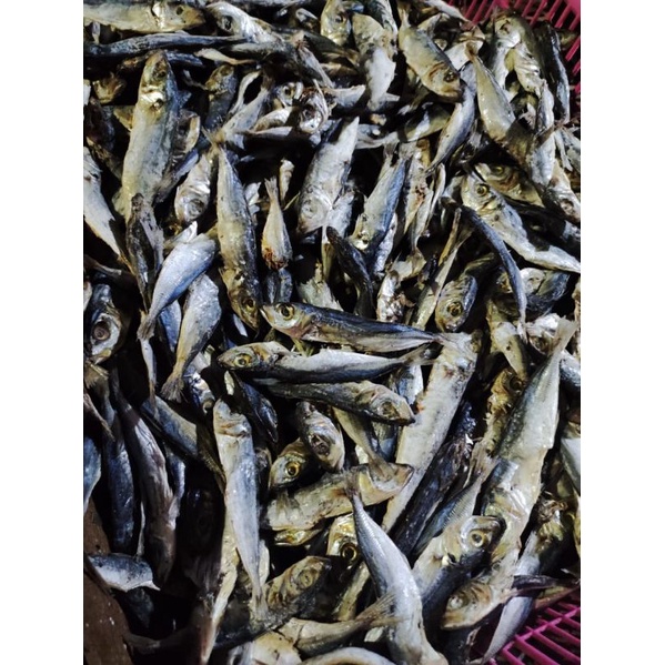 

IKAM ASIN RENCEK/LAYANG KECIL/IKAN ASIN MURAH 50gr