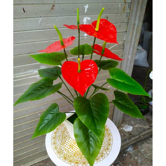Daun hias bunga hias daun keladi bunga artificial Daun hias bunga hias daun keladi bunga artificial
