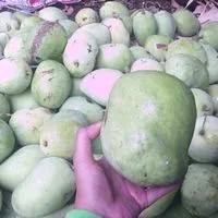 

Buah Mangga Cengkir 1 Kg