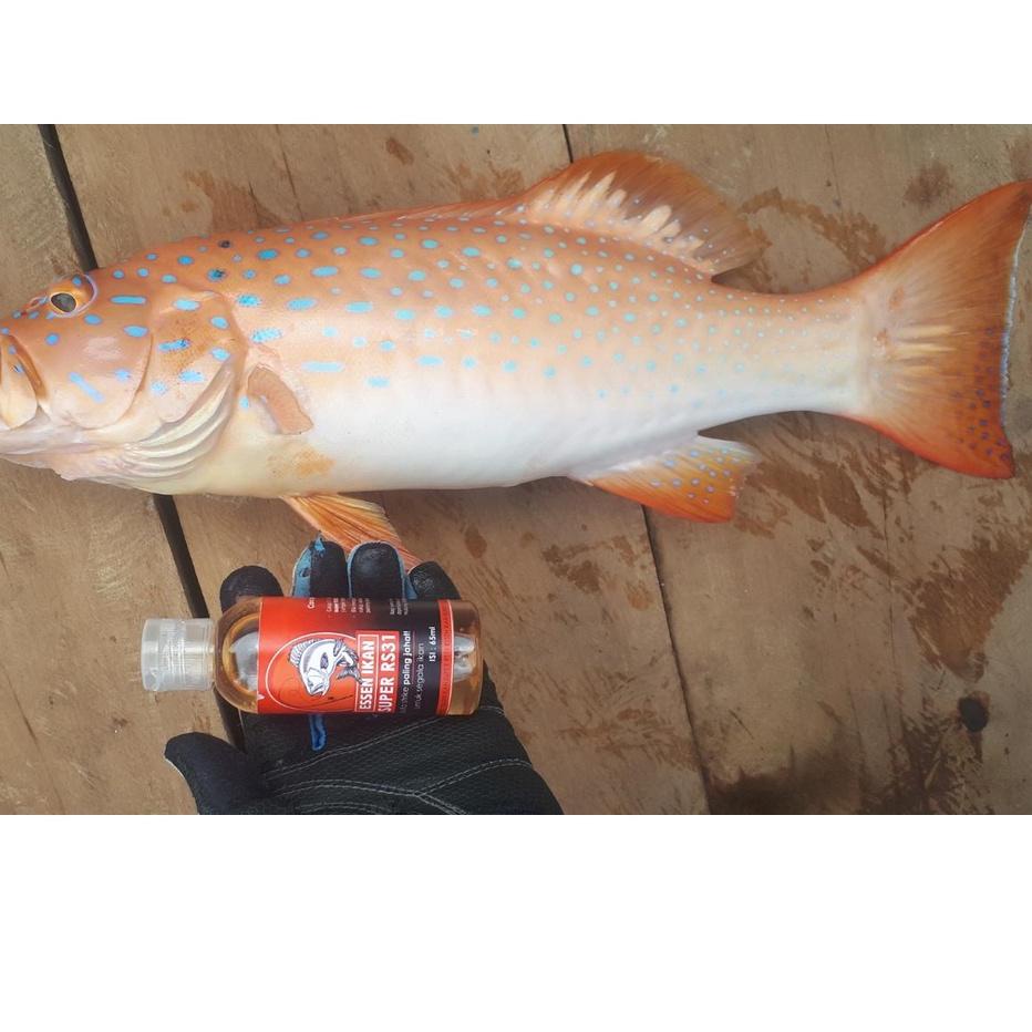 Recomended.. Essen Ikan Super RS31 - Essence Pancing Aroma Gurih & Amis Untuk Indukan / Babon dari I