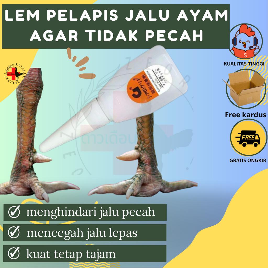 lem pelapis jalu ayam agar tidak mudah lepas dan pecah zeorfarm