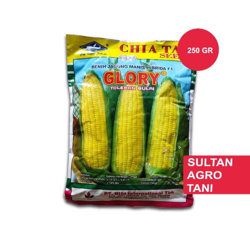 Jual Benih Jagung Manis Hibrida F1 Glory Paragon Pertiwi 250 Gr Super Bisi Cap Kapal Terbang 9207