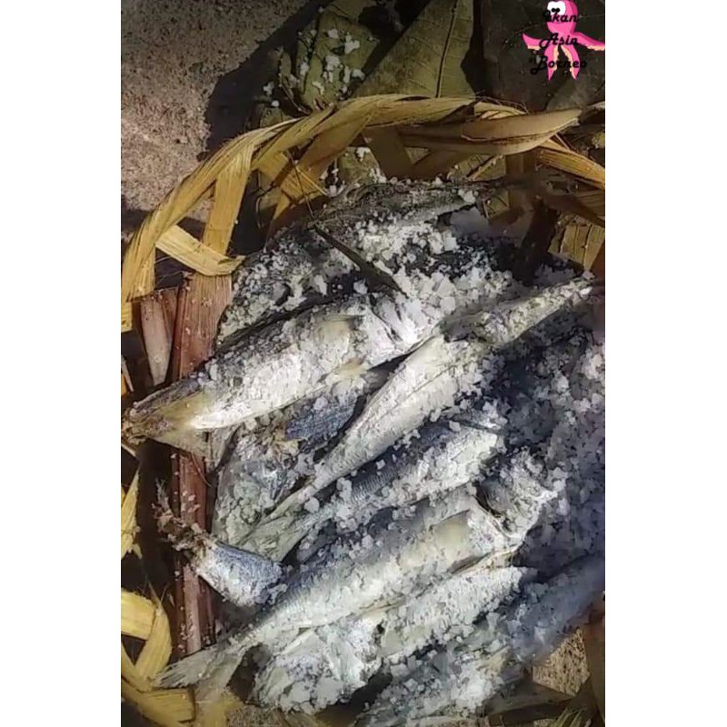 Ikan Asin Pindang Per Keranjang