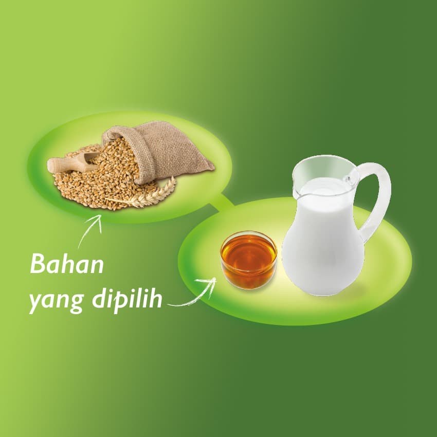 BISKUIT ROMA SARI GANDUM 240GR HALAL