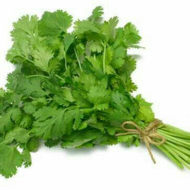 Daun Ketumbar Parsley Corianda Leaves Shopee Indonesia