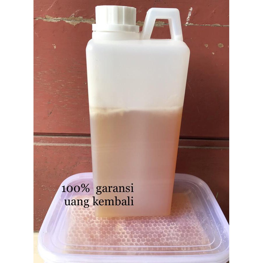 

9H476R- Madu Kelengkeng 1Kg (Murni) Dyu5Ge4-