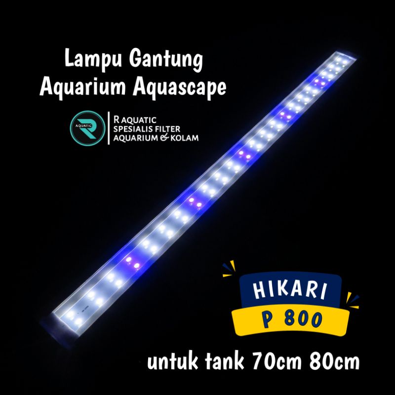 lampu Led aquarium aquascape hikari p800 70cm 86cm lampu gantung