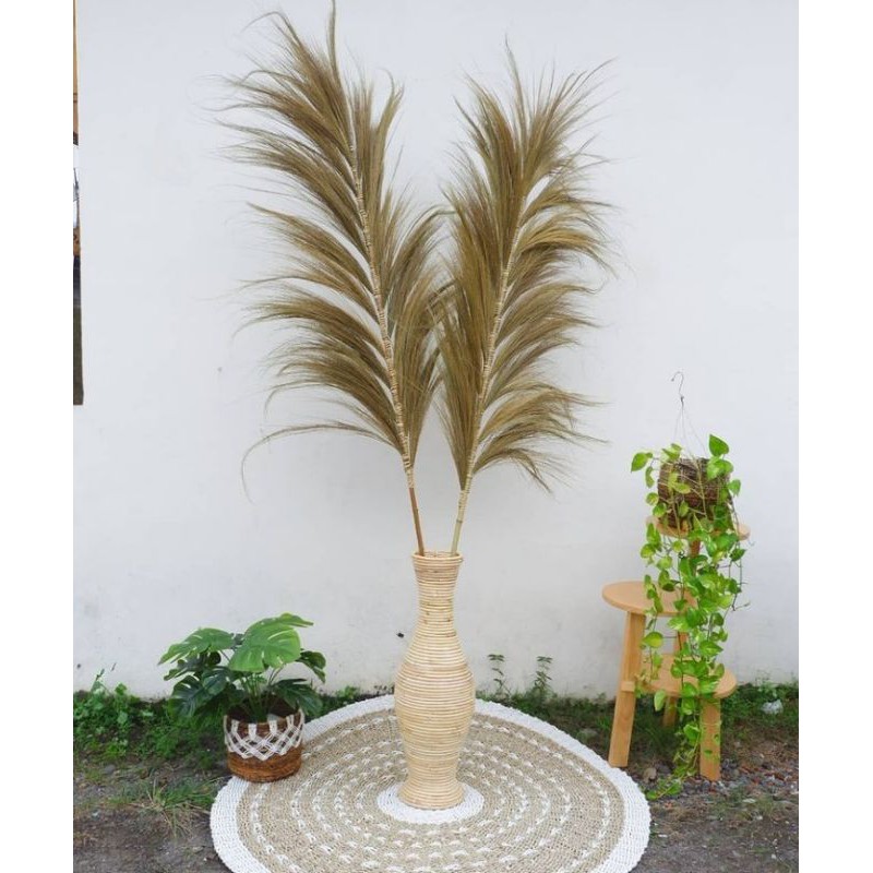 (GROSIR) Home Decor Rayung Kering Rayung Panjang Rayung Natural Rayung Rustic Pampas Lokal