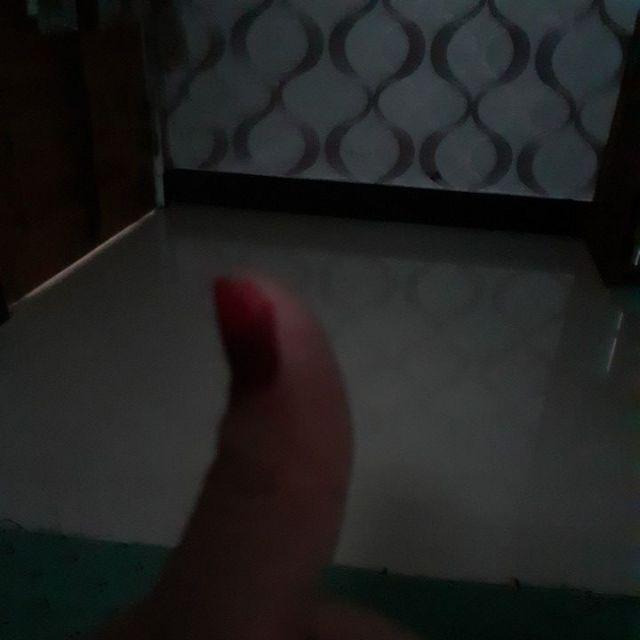 Tanaman Herbal Anti Nyamuk Rosemery