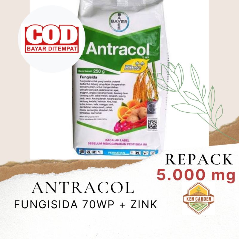 Jual Antracol Wp Zink Fungisida Fungisida Sistemik Pembasmi Hama Tanaman Shopee Indonesia