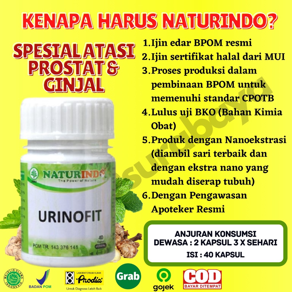 Obat Herbal Sulit Kencing Sakit Prostat Infeksi Saluran Kencing Anyang Anyangen Atasi Batu Ginjal Saluran Kemih Obat Kencing Batu kencing sakit Obat Gagal Ginjal Bocor Bengak Kencing Berbuih Berbusa Batu Spesialis Ginjal URINOFIT NATURINDO SURABAYA-7