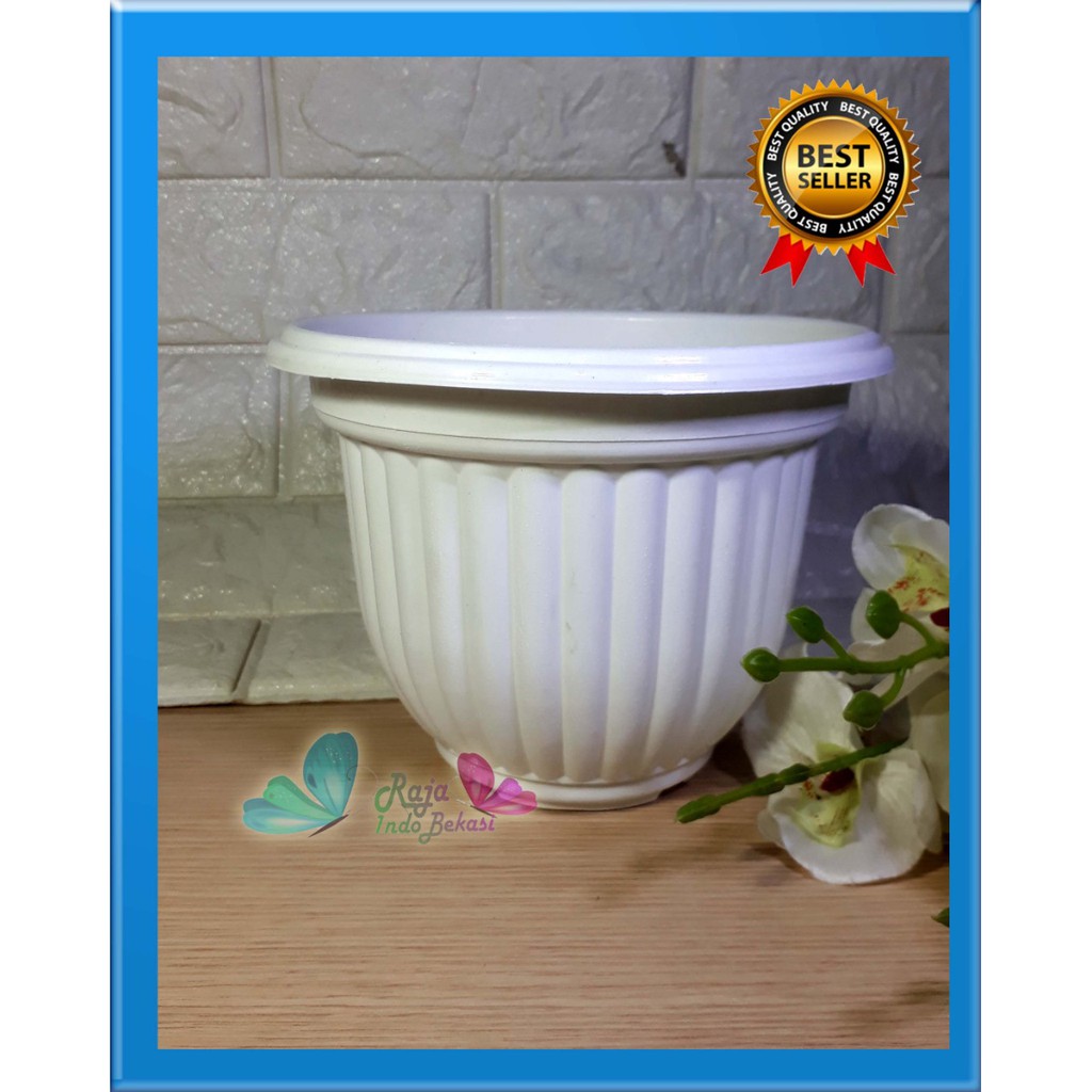 Pot Matahari 20 (18cm) Putih Pot Bunga Putih Vas Bunga Plastik Tanaman Hias Aglonema Bukan Pot Tawon