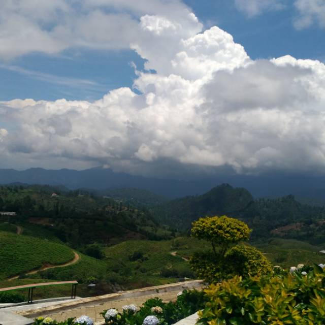 iinarfahindahlestari