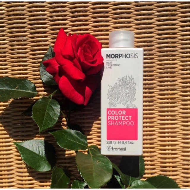 Morphosis framesi color protect shampoo