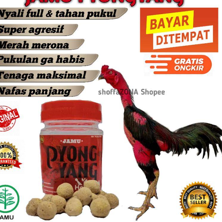 Dijamin Miring harga.. Jamu Ayam Aduan Terbaik Doping Ayam Aduan Jamu Pyongyang