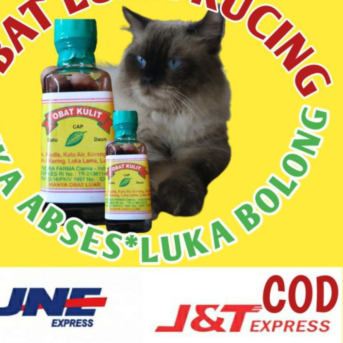 Baru Obat Luka Kucing Luka Kucing Bolong Bernanah Luka Bolong Bekas Abses Pada Kucing Luka Robek Shopee Indonesia