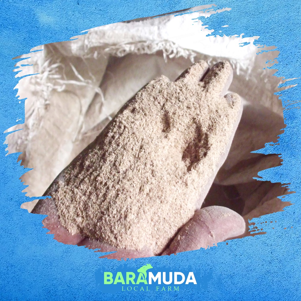 Dedak Kasar Pakan Ayam | pakan unggas | pakan ternak