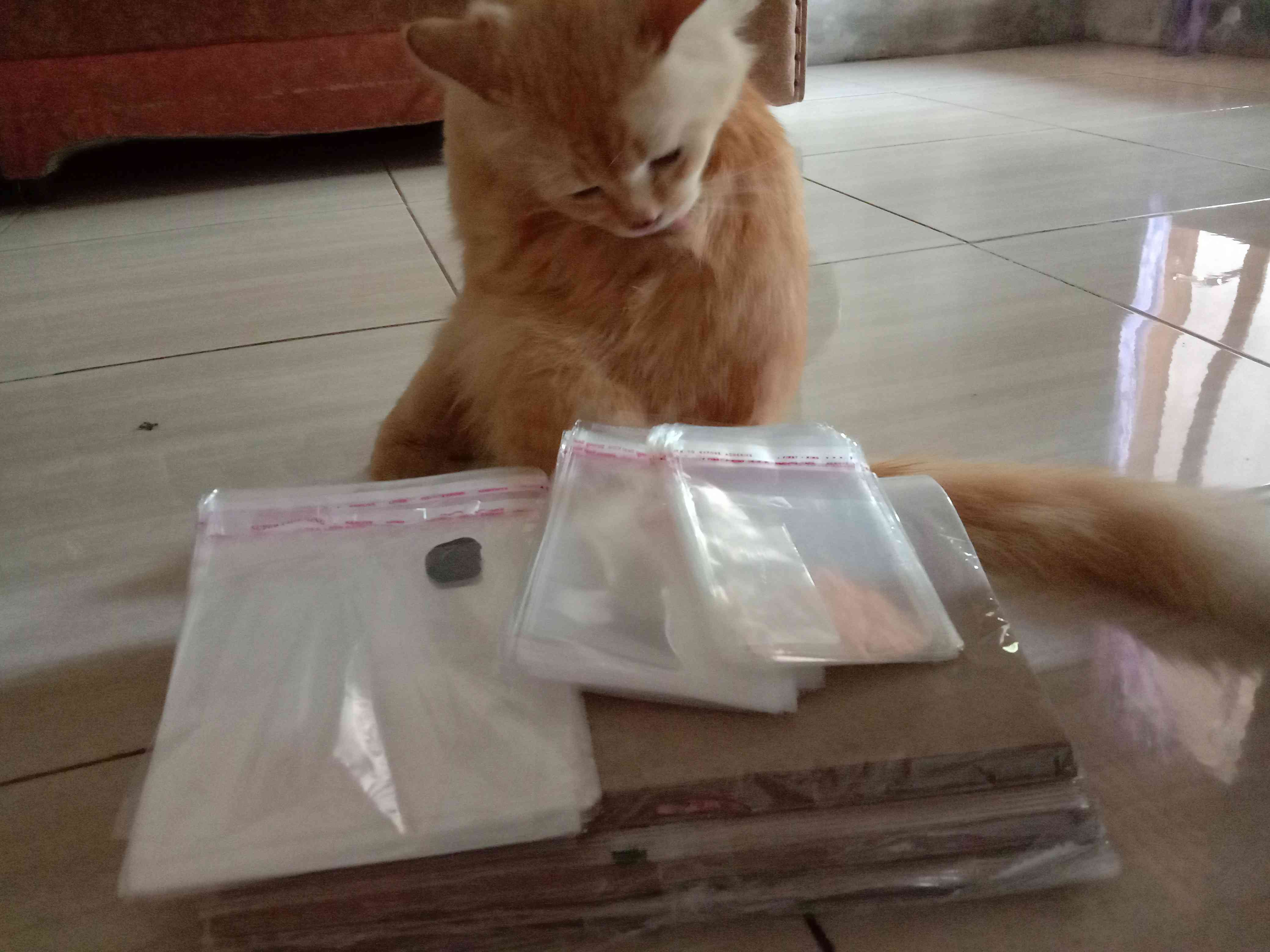 Kantong Plastik Opp Bening + Seal 8x8 Murah